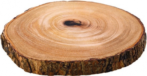 Darwin Akacia fad - rustik/rund Akacietræ